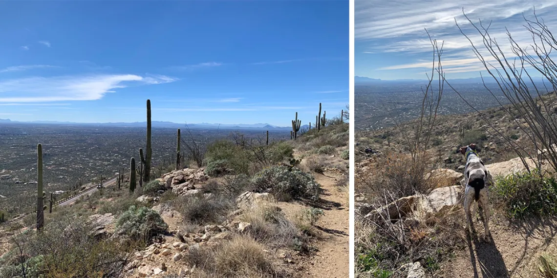 Hiking around Tucsons