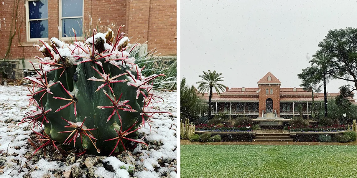 Snow on UA Campus